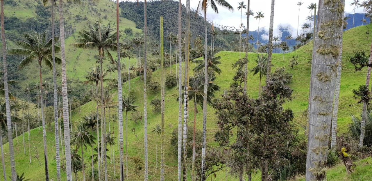 Posada Martha Tolima Salento Bagian luar foto